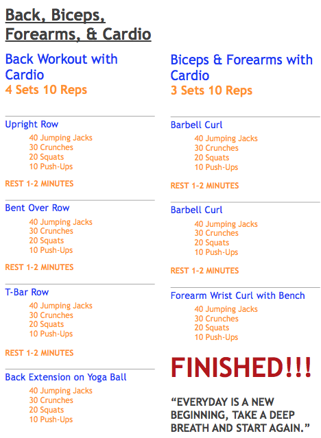 exercise sheet 1 back biceps forearms and cardio just do it cardio workout sheet