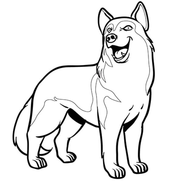 Image A Imprimer Chien Tout Est Gratuit Chien Coloriage Coloriage Animaux Coloriage Chat Image A Imprimer Chien Tout Est Gratuit Chien Coloriage Coloriage Animaux Coloriage Chat