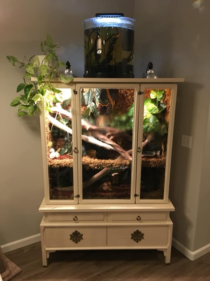 Amazing Pet Enclosures Diy Reptile Enclosure Furniture Diy Bearded amazing-pet-enclosures-diy-reptile-enclosure-furniture-diy-bearded