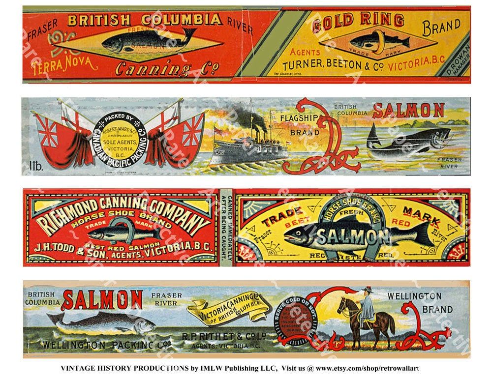 antique salmon can labels printed sheet 4 british