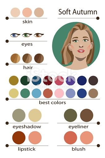 Скачайте векторную иллюстрацию Stock Vector Seasonal Color Analysis Palette For Soft Autumn Best Makeup Colors For Soft Autumn Type Of Female Appearance Face Of Young Woman прямо сейчас. И найдите в библиотеке роялти-фри векторной графики iStock еще больше графики на тему Анализировать, доступной для простого и быстрого скачивания. Soft Autumn Makeup, Soft Autumn Deep, Soft Autumn Color Palette, Autumn Skin, Fall Makeup, Warm Autumn, Fall Colors, Color Me Beautiful, Winter Thema