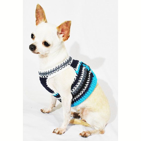 Dog Harness With Hook And Loop Fastener Casual Blue Turquoise