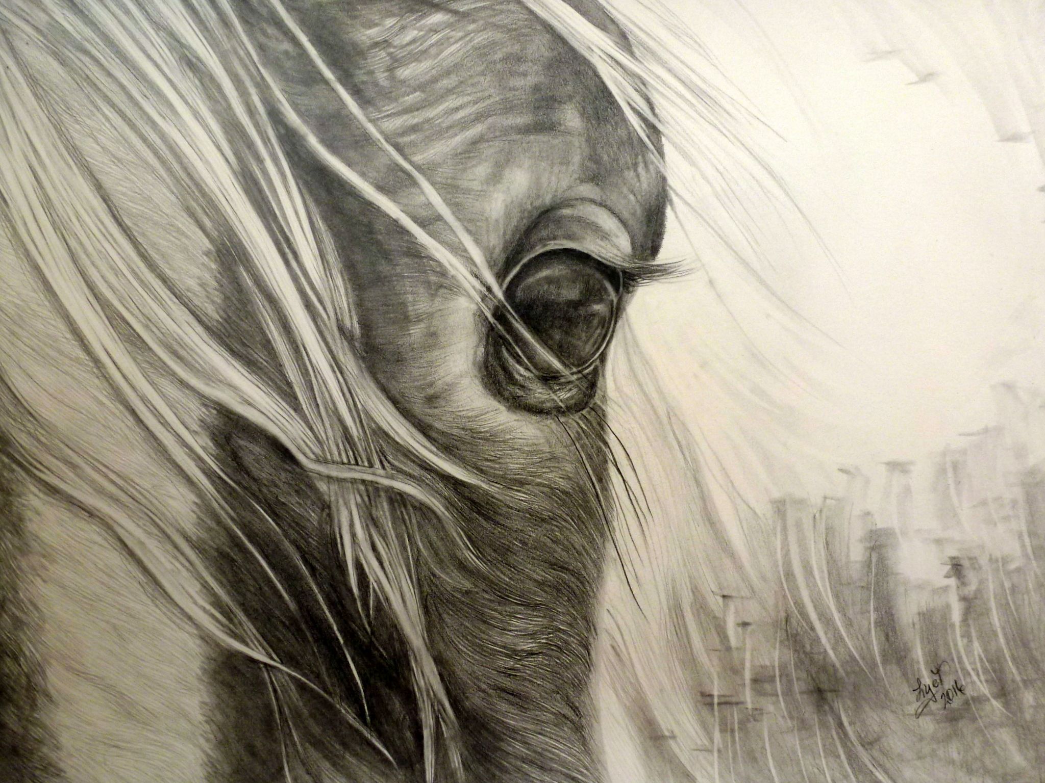 Dessin au crayon de mine Horses, Animals Dessin au crayon de mine Horses, Animals