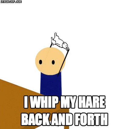 i whip my hare back and forth humor, stuffing and random 6f3a6b68d46a9b3cb3da8cff257144ca i whip my hare back and forth humor, stuffing and random