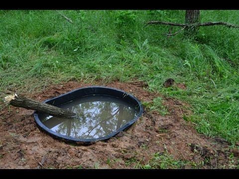 Big Game Treestands | 6 Summer Projects That Bring Deer Closer To Your Tree Stand | Big Game Treestands