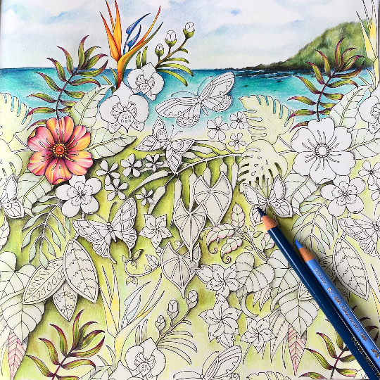 Johanna Basfords Colouring Gallery From Magical Jungle Double Page Spread With Lovely Background Added By Colorist Nessy B