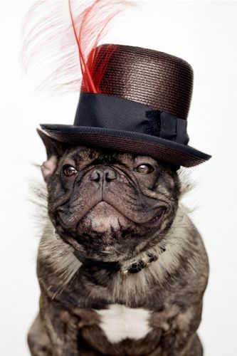 Nars Dual Intensity Eyeshadow Cute French Bulldog Dog Died
