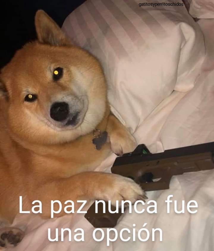10.1 mil Me gusta, 32 comentarios