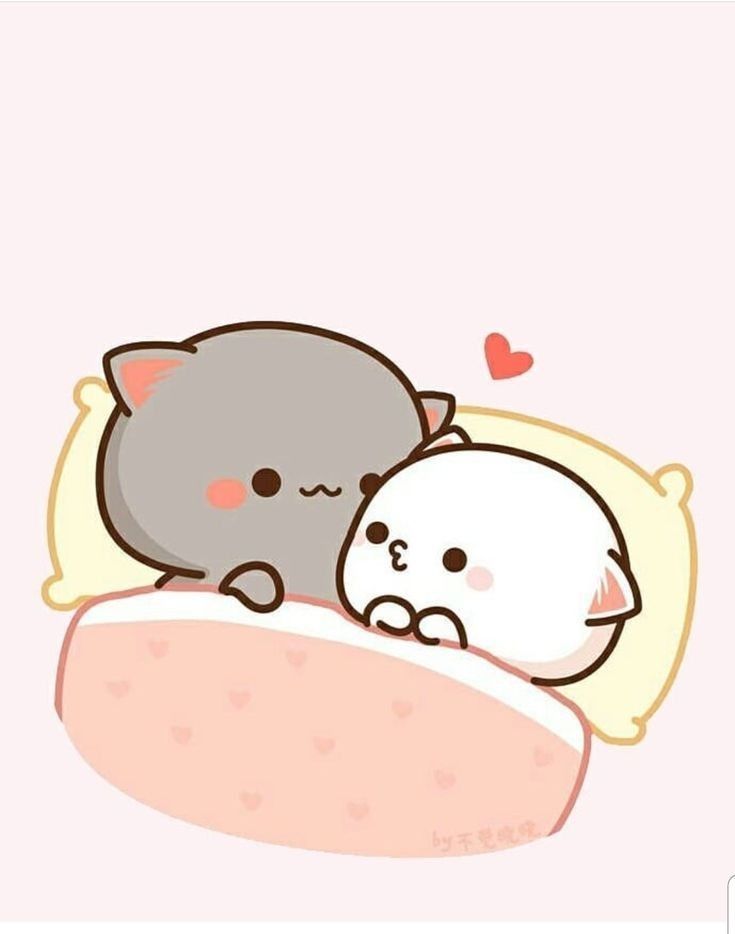 Cute Mochi Cats 💛|| Cute Wallpapers