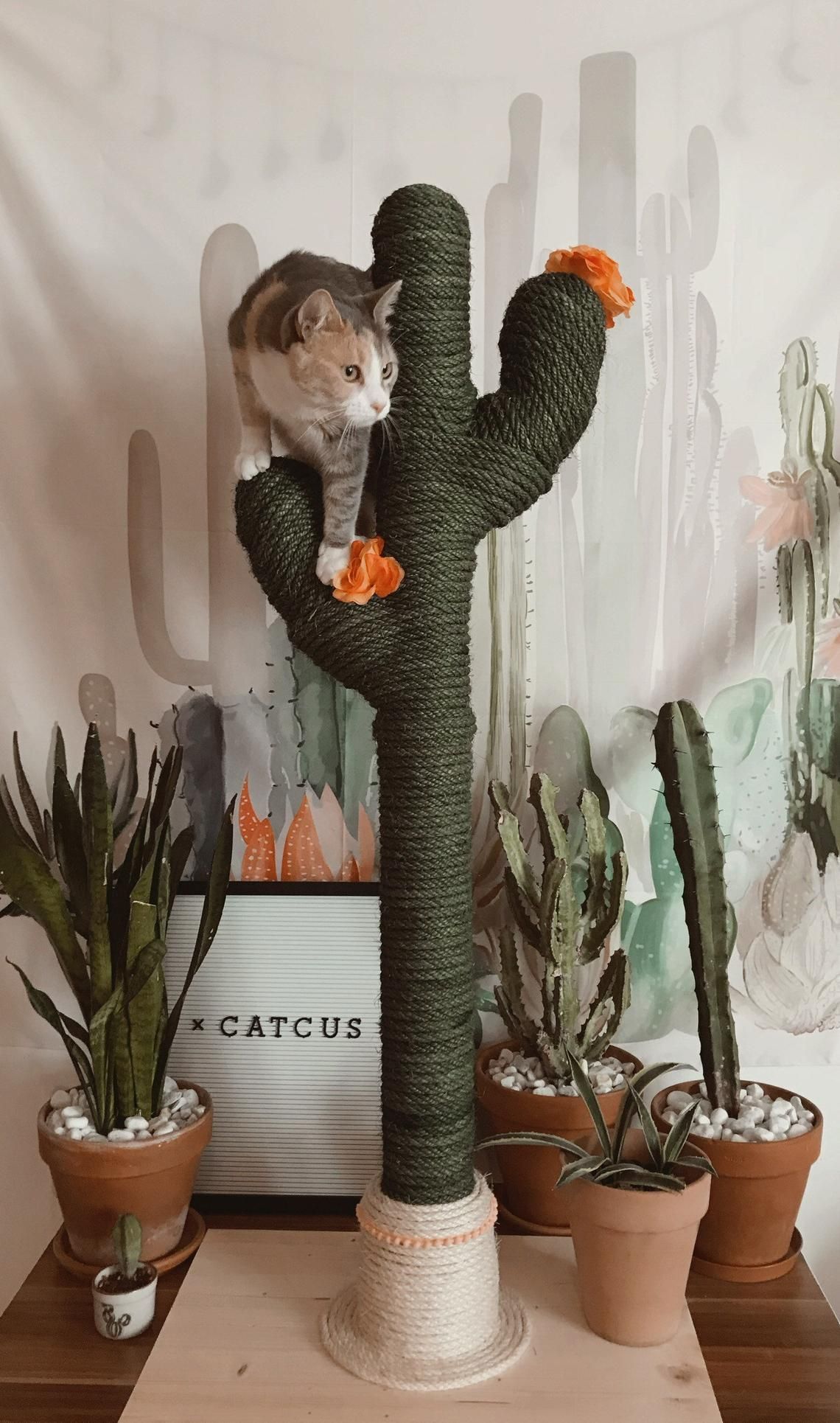 Cactus for cats catcus scratching post cat tree boho