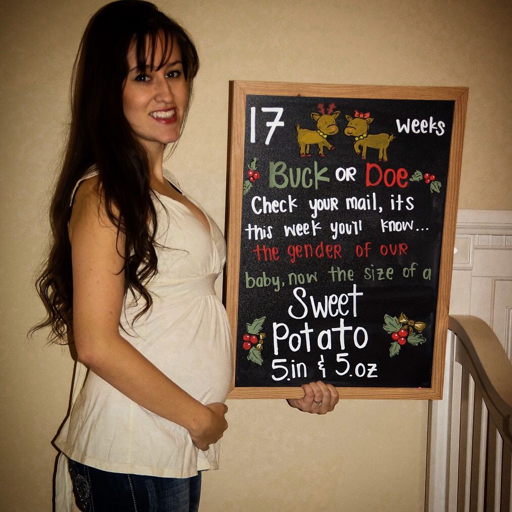 pregnancy track