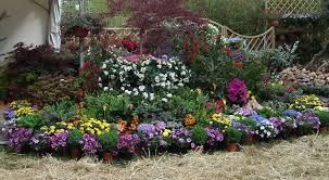 Risultati immagini per creare un piccolo giardino nel prato ... Creare un piccolo giardino in casa