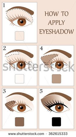 Make up tutorial set - stages of applying beige shadow on brown women eye with brow and lashes. eyeshadow apply step by step. makeup concept, vector art image illustration isolated on white background Face Makeup Tips, Eye Makeup Steps, Beauty Makeup Tips, Contour Makeup, Smokey Eye Makeup, Makeup Eyeliner, Makeup Skin Care, Natural Eye Makeup Step By Step, Eyeshadow Step By Step