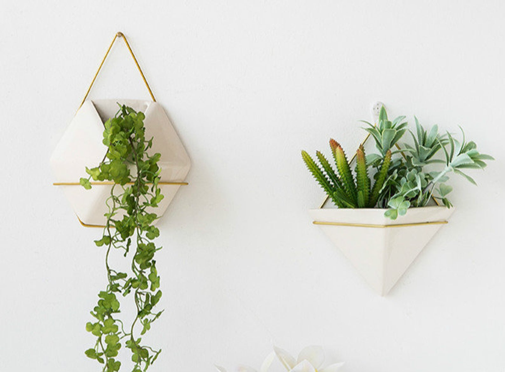 wall hanging succulent planter