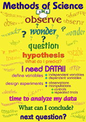 science poster for kids