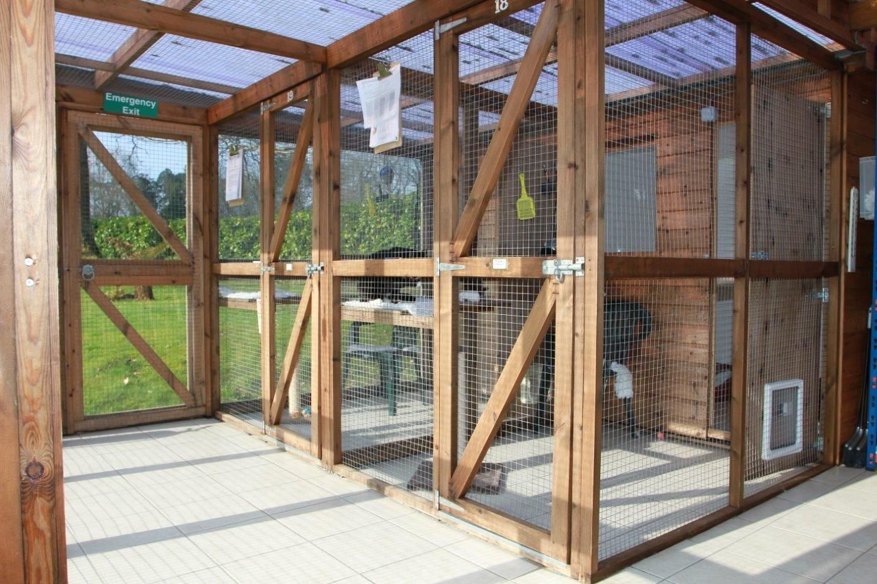 UPVC Cattery Units Boarding Cattery Units 3050 Per Unit cattery