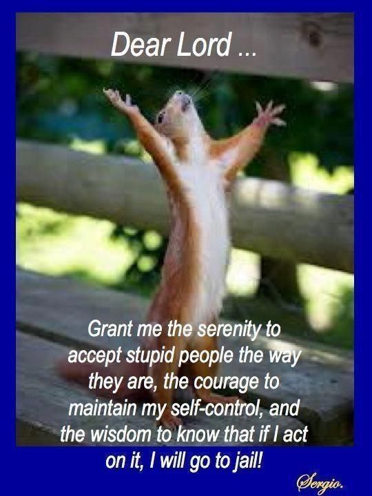 210 Recovery Humor Ideas Humor Funny Recovery Humor 210 Recovery Humor Ideas Humor Funny Recovery Humor