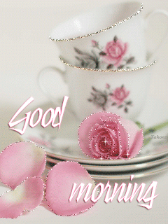 good morning friends have a great day fozia janjua good biodata