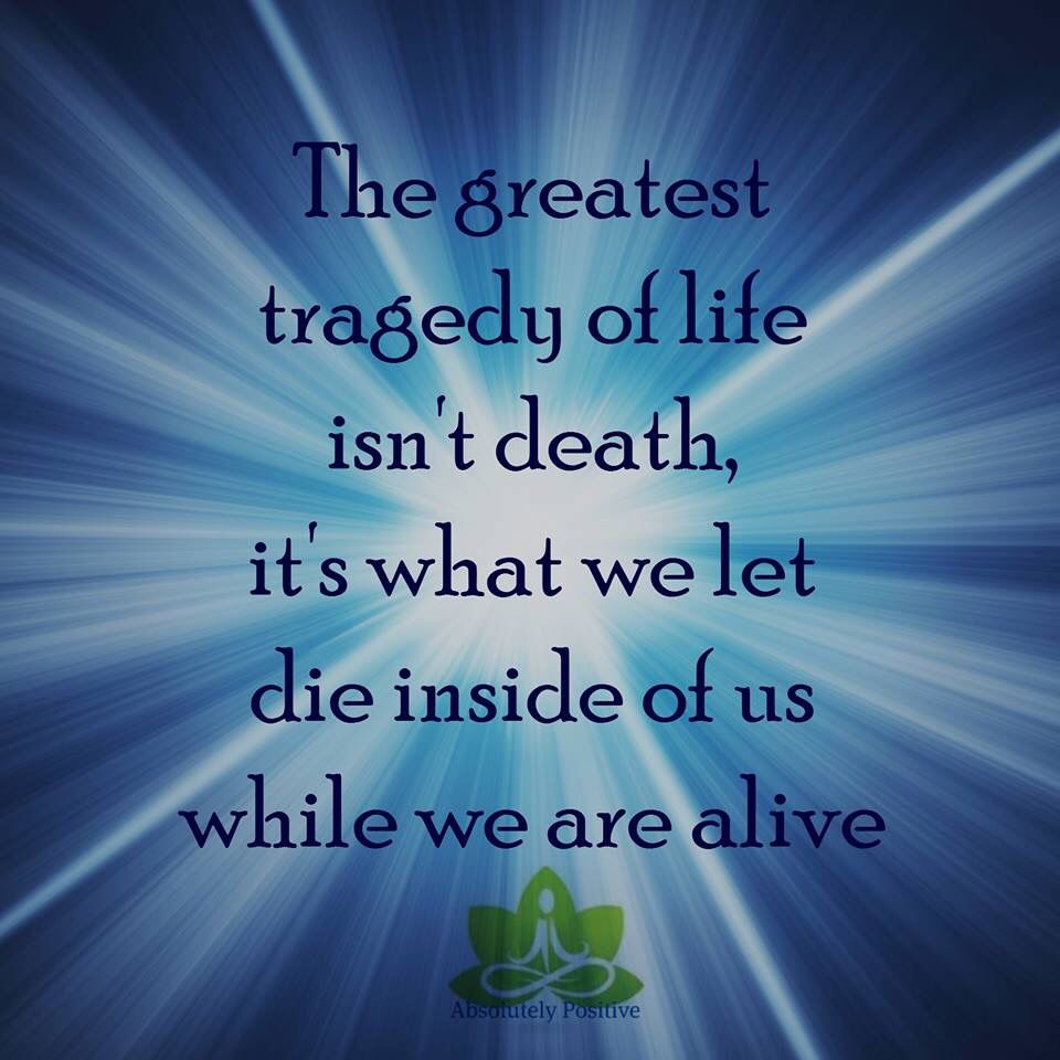 Quotes | Quote of the day, Professional quotes, Greatful