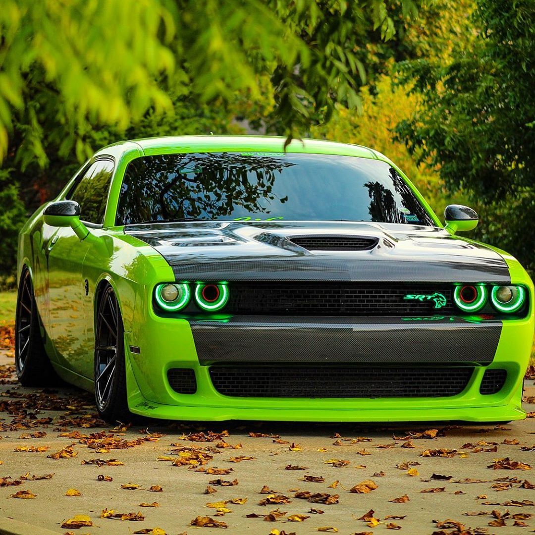 You were born a original..... Don’t die a copy!!!! 🙌🏾✅💯 #hellcatchallenger . . . . 📸 @nv_mycat . . . . srt #dodge #challenger #scat… Dodge Muscle Cars, American Muscle Cars Dodge, Mopar Cars, Dodge Challenger Scat Pack, Hellcat Challenger, Muscle Cars Vintage, Custom Muscle Cars, Porsche, Audi
