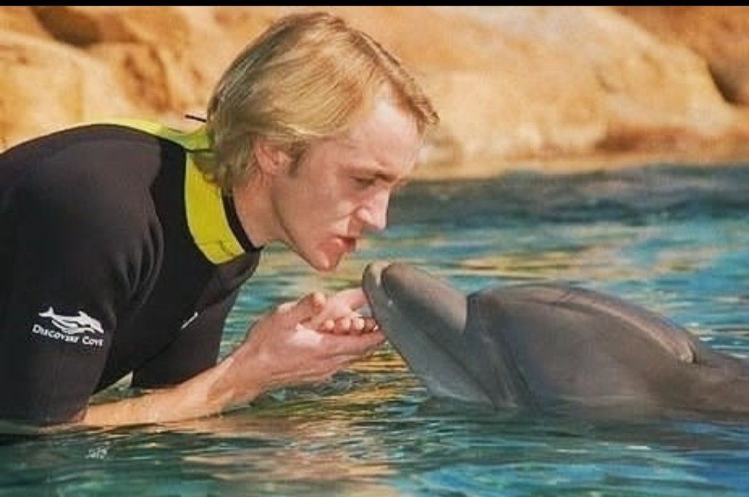 Draco Malfoy Hayal Et Kitabidir Tom Felton Draco Malfoy Harry Potter Draco Malfoy