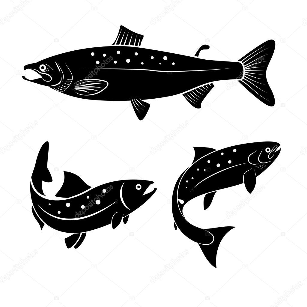 白い背景で隔離のサケ魚のセットです ロゴやラベルのデザイン要素 ベクトル図 魚のロゴ 魚 ロゴ 白い背景で隔離のサケ魚のセットです ロゴやラベルのデザイン要素 ベクトル図 魚のロゴ 魚 ロゴ