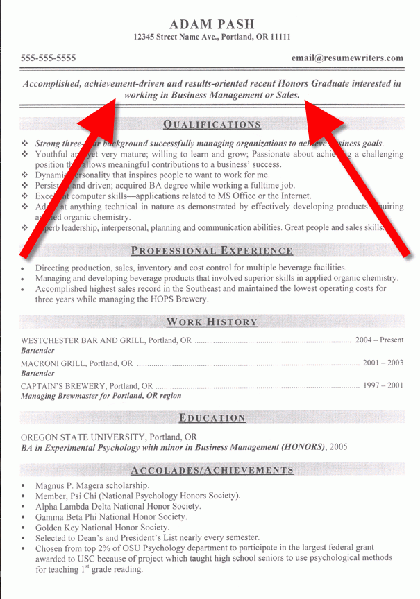 resume objective examples 2 resume cv design pinterest