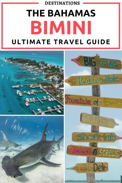 one day cruise to bimini