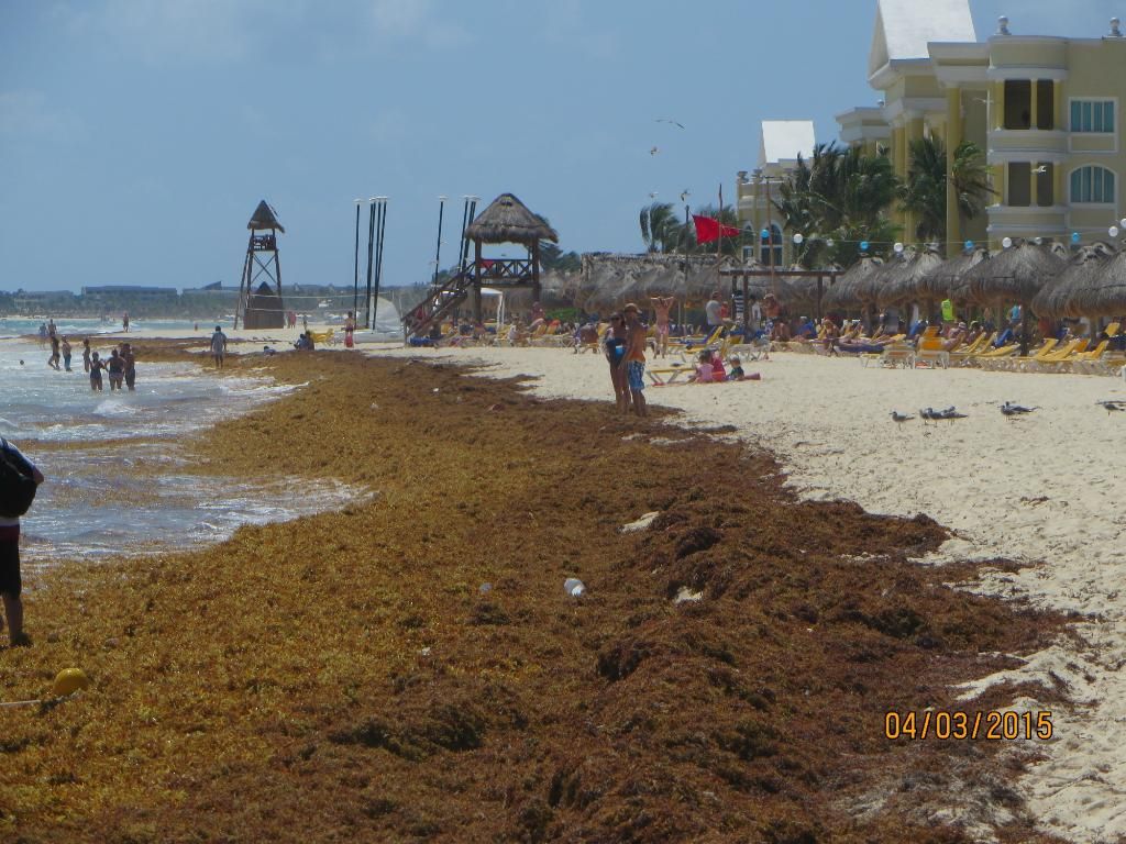 Wonderful But Review Of Iberostar Paraiso Beach Playa Review Of Iberostar Paraiso Beach Playa