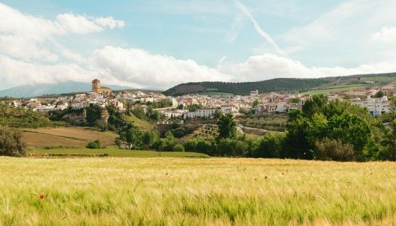 Amigos de Alhama:Alhama de Granada atrae a 8.000 personas con su tradicional Carnaval. Este carnaval de origen pagano hunde sus raíces en una época donde se revelaban contra la verdad de una dictadura y contra el totalitarismo. Granada, Monument Valley, Grand Canyon, The Good Place, Farmland, Mountains, Natural Landmarks, Amazing, Nature