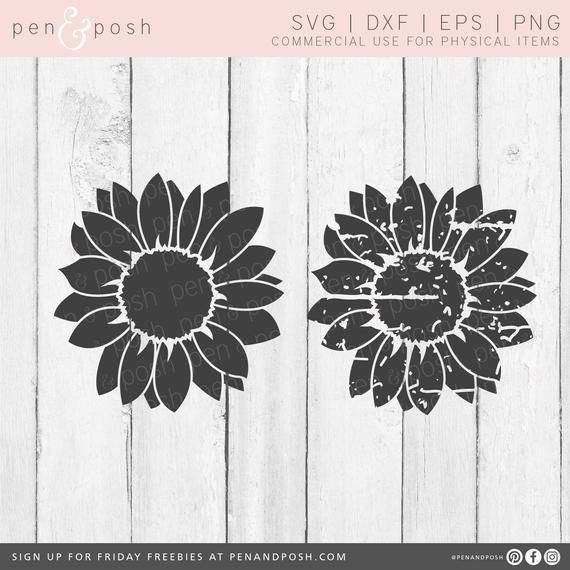 Free Free Sunflower Bunch Svg 355 SVG PNG EPS DXF File
