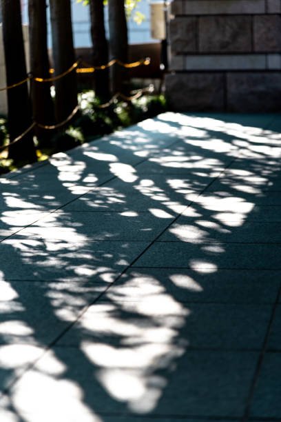 3 307点の木漏れ日のストックフォト Getty Images 木漏れ日 影の写真 影 3 307点の木漏れ日のストックフォト Getty Images 木漏れ日 影の写真 影
