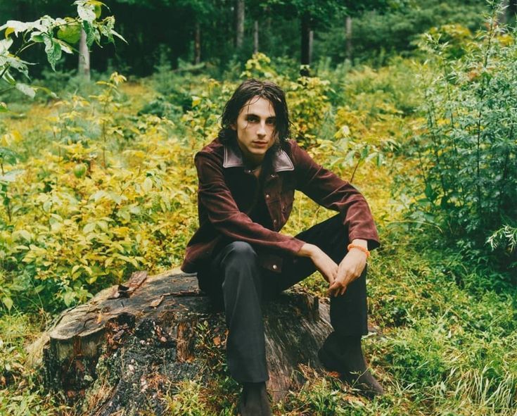 Timothée Chalamet