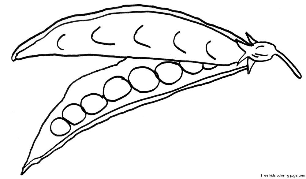 Vegetables Cauliflower Coloring Pages Print Out Vegetable Happy Face Cauliflower Coloring Page Preschoolfree Printable Color Vegetable Coloring Pages Free Kids Coloring Pages Pumpkin Coloring Pages
