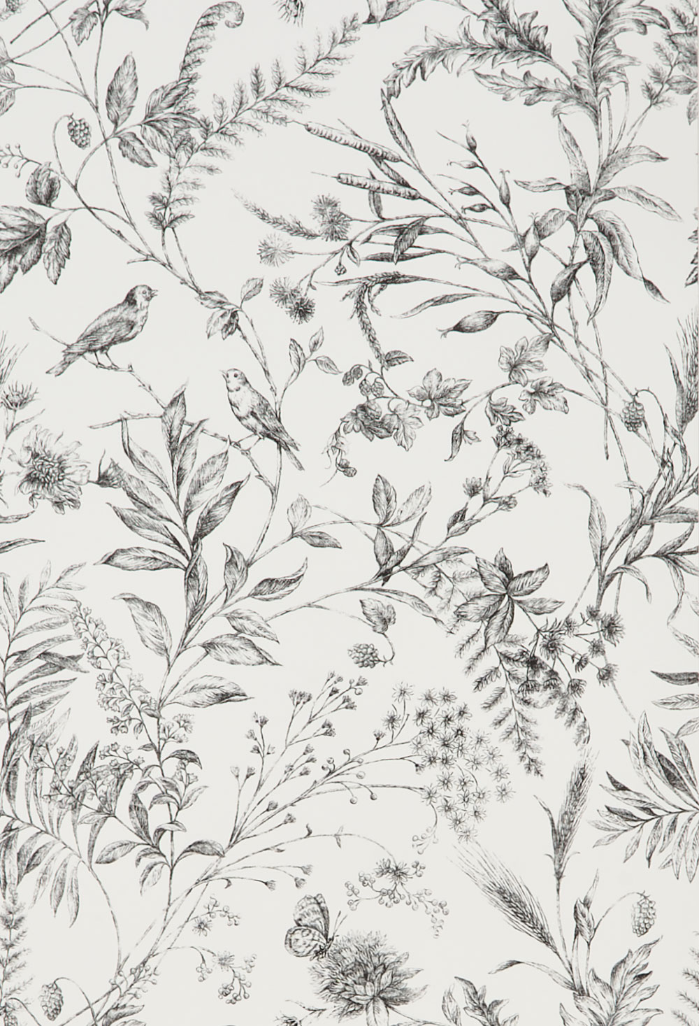 Floral Bird Trail Wallpaper Black White And Grey Floral Bird Trail Wallpaper Black White And Grey