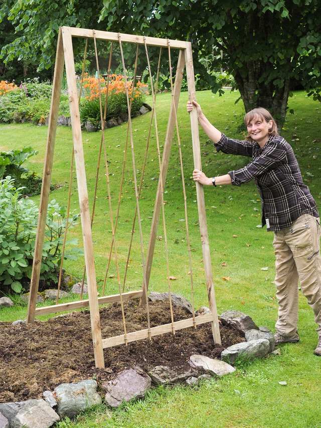 Build Folding A-Shaped Bean Frame Instructions – Allotment & Gardens Build Folding A-Shaped Bean Frame Instructions – Allotment & Gardens