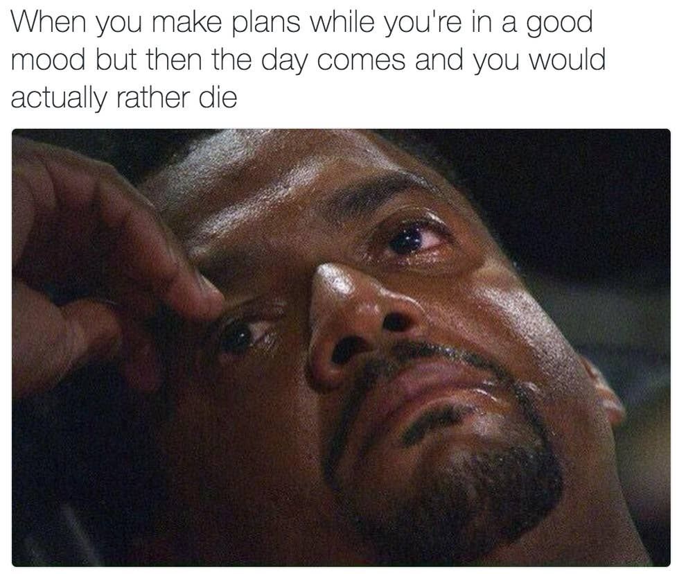 27 Pictures That Will Make You Say I Feel Personally Attacked Roligt 27-pictures-that-will-make-you-say-i-feel-personally-attacked-roligt