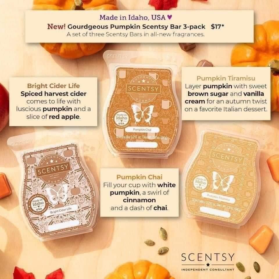 scentsy dashboard scentsy dashboard