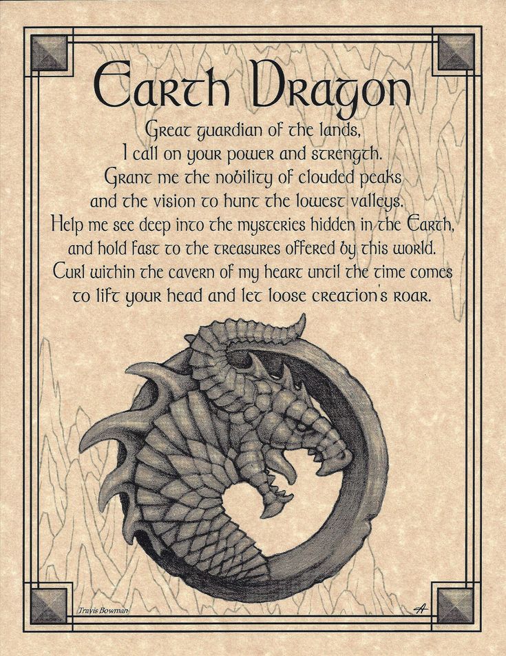 magic dragon invoice magic dragon invoice