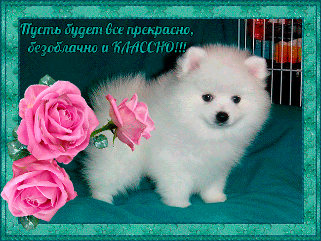 Все прекрасно гифы