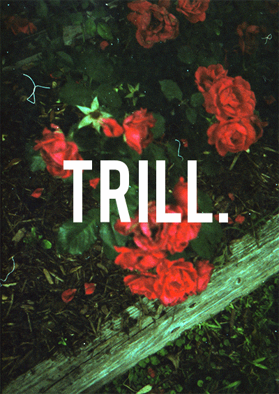 Trill. | Flower | Pinterest Explore Roses Pinterest, Theme Ideas, and more!