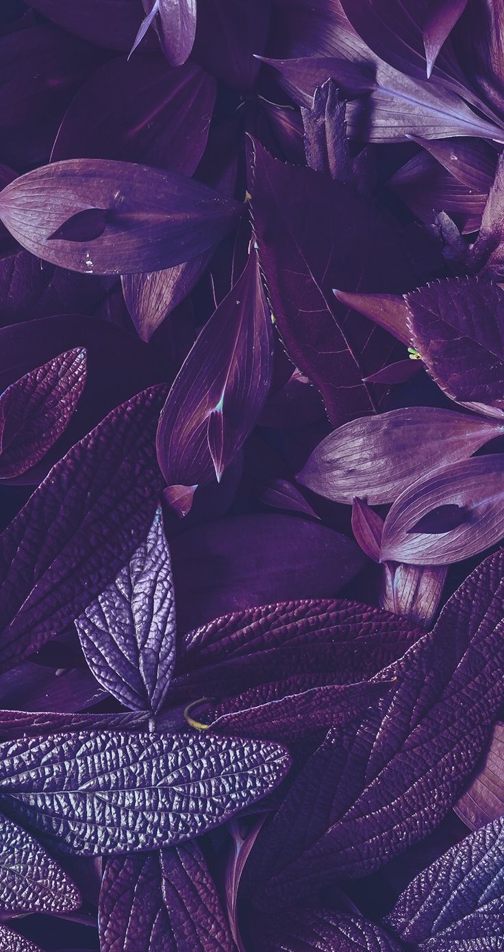 Julieta Chaparro Adli Kullanicinin All Panosundaki Pin Lock Screen Wallpaper Baski Resim Resim Duvari Julieta Chaparro Adli Kullanicinin All Panosundaki Pin Lock Screen Wallpaper Baski Resim Resim Duvari