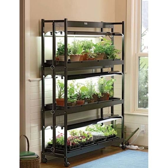 Pin By Khalid On Ideal Kitchen Indoor Grow Lights Garden Shelves Indoor Vegetables