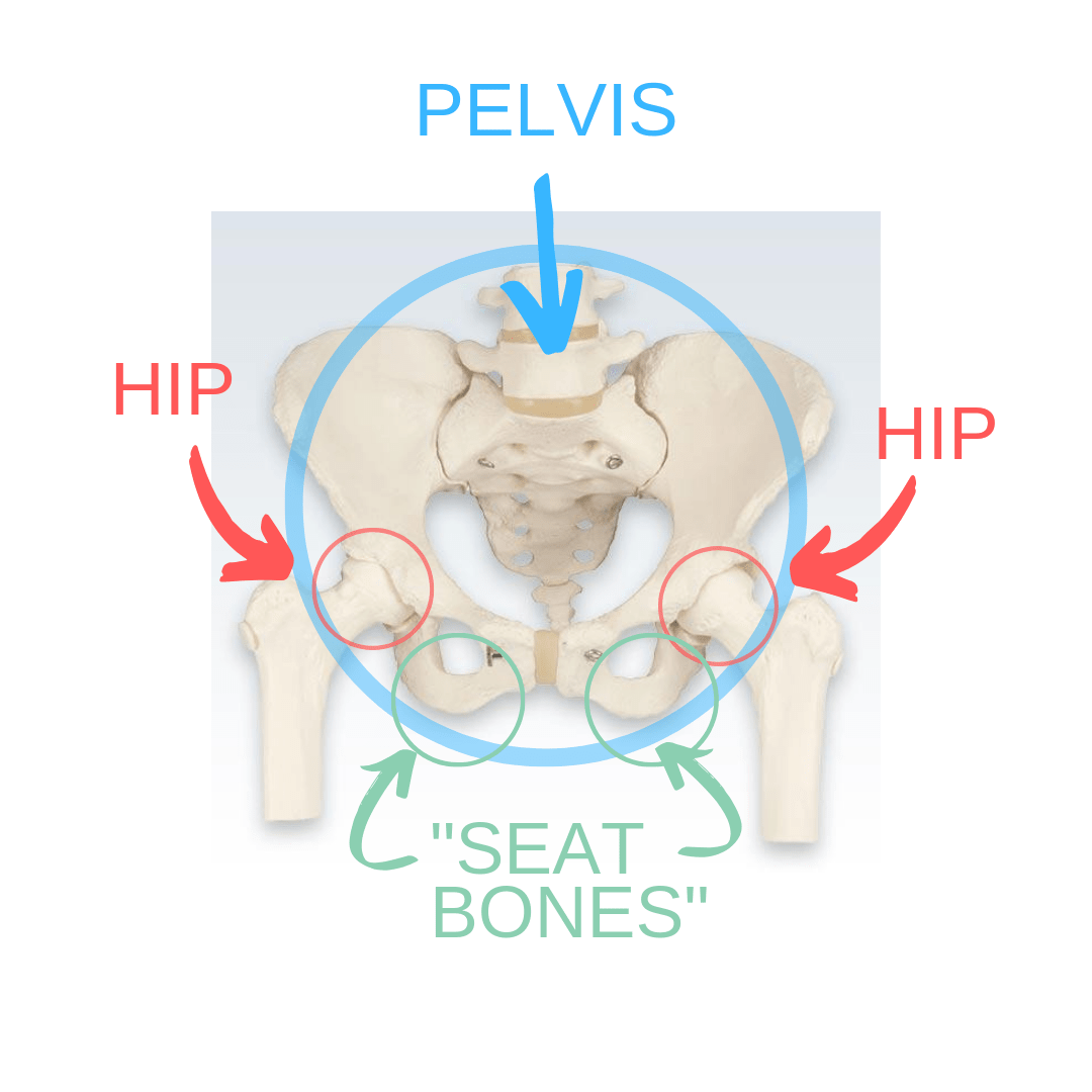 Correcting Anterior Pelvic Tilt The Stomach Pooch Bad Posture Exercise Tight Hips