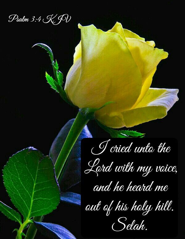 Psalm 3 4 Kjv AndreaCorryn Psalm 3 4 Kjv AndreaCorryn