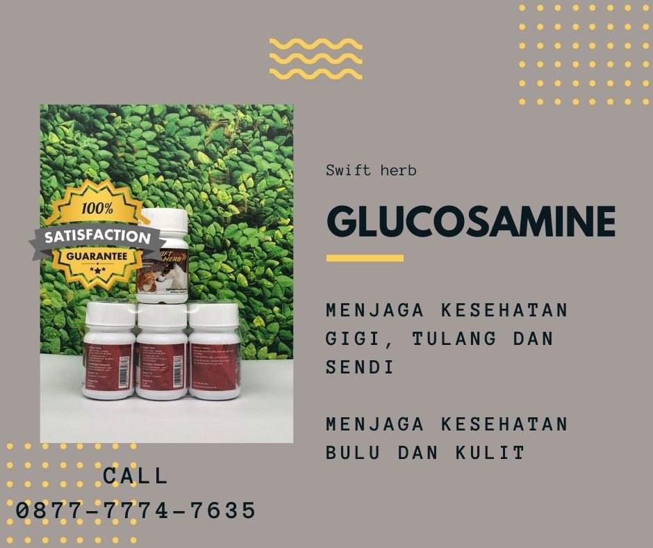 Order Wa https://wa.me/6287777747635, Vitamin Kucing Yang Bagus, Vitamin Kucing Biar Gemuk, Vitamin Kucing Saat Melahirkan, Vitamin Kucing Alami, Vitamin Kucing Kampung Laku Petshop Pesona Residen Block B 2 No. 2 Cileungsi Kabupaten Bogor Belakang Restoran Nyi Iteung https://www.facebook.com/lakupetshop8 https://www.tokopedia.com/pakanburungvitaminkucing #vitaminkucing, #vitaminkucingmurah, #vitaminkucinggemuk, #vitaminkucingterbaik, #vitaminkucingcikarang Block B, Bogor, Pet Shop, Vitamins, Herbs, Pet Store, Herb, Vitamin D