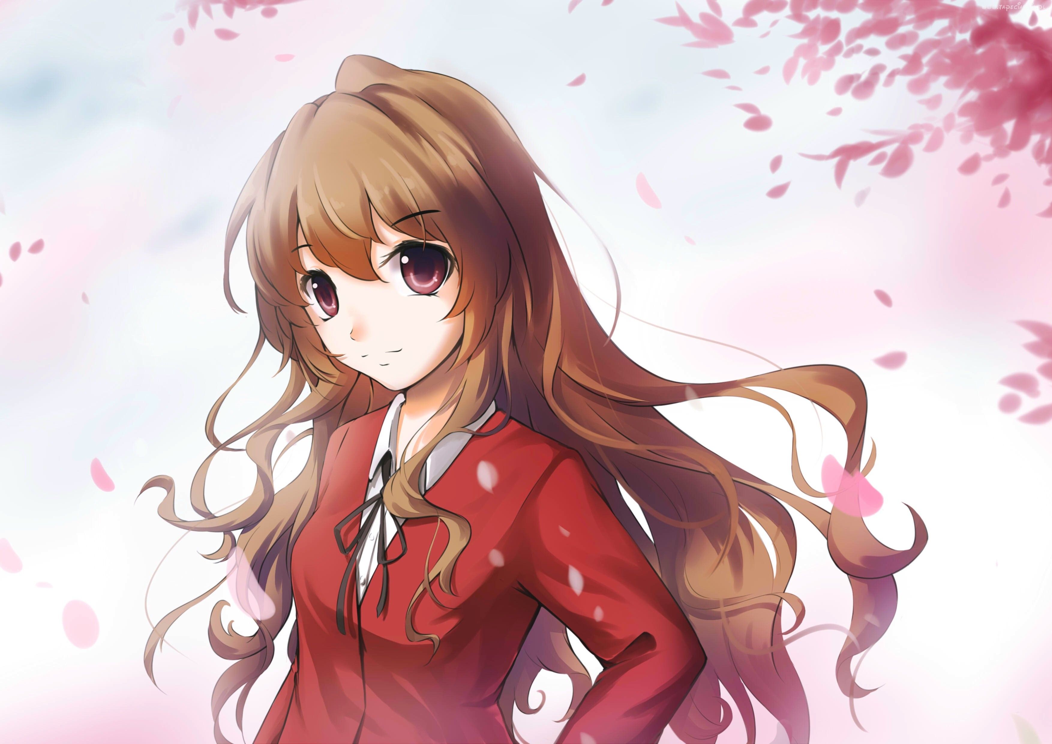 Dziewczyna Manga Anime Toradora Anime Aesthetic Anime dziewczyna-manga-anime-toradora-anime-aesthetic-anime