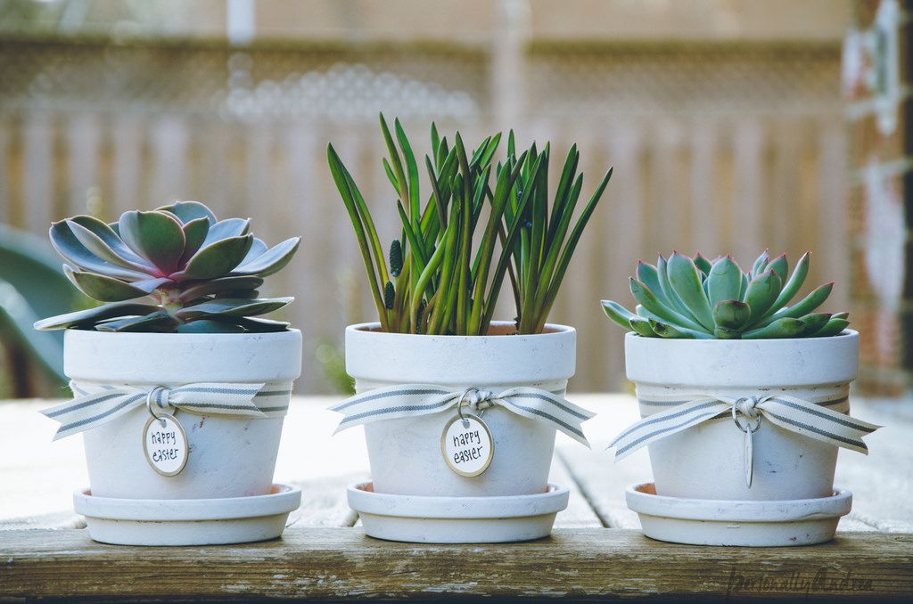Shabby Chic Personalized Flowerpots Flower pots, Painted terra cotta