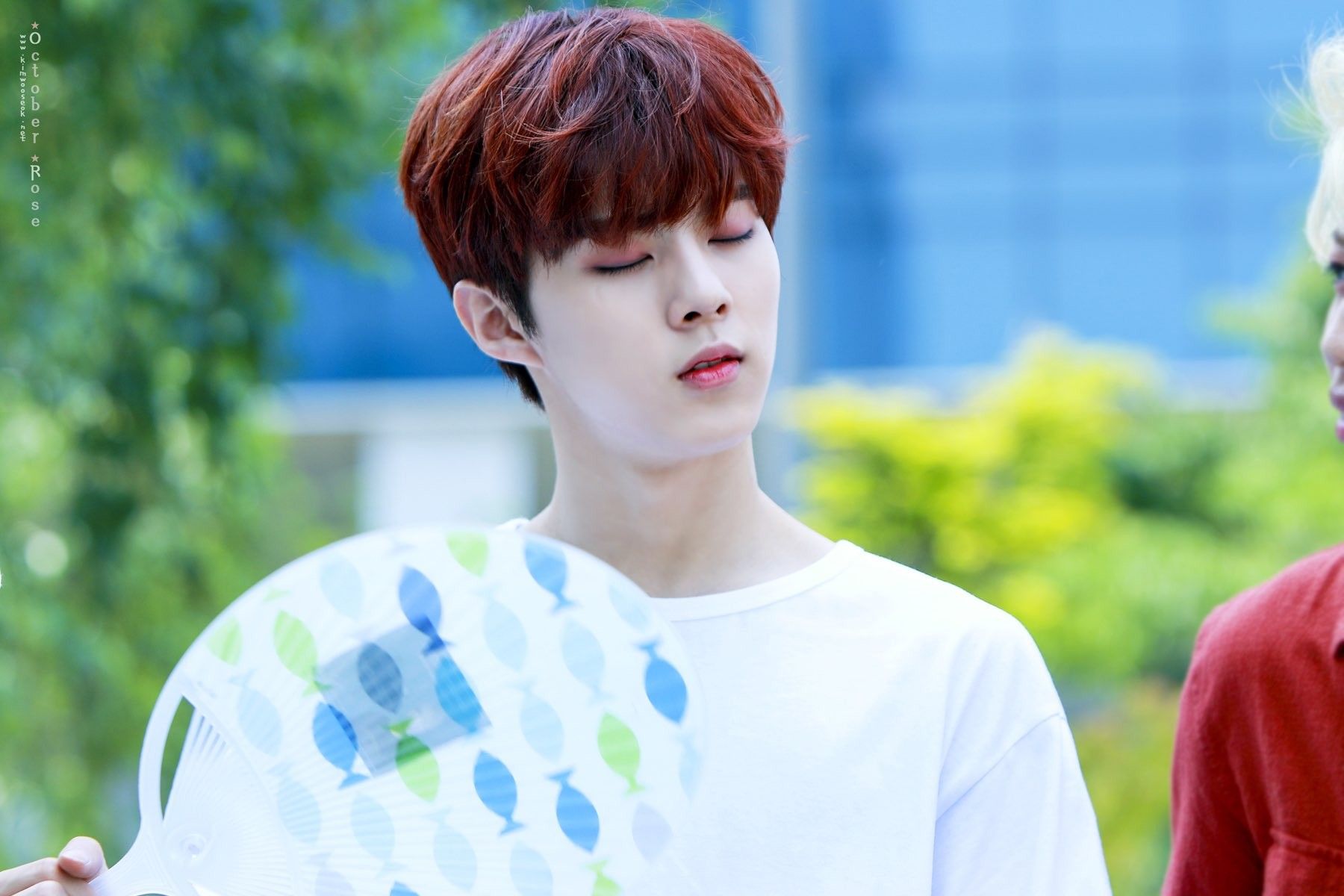 kim wooseok x kim jinwook kim wooseok x kim jinwook
