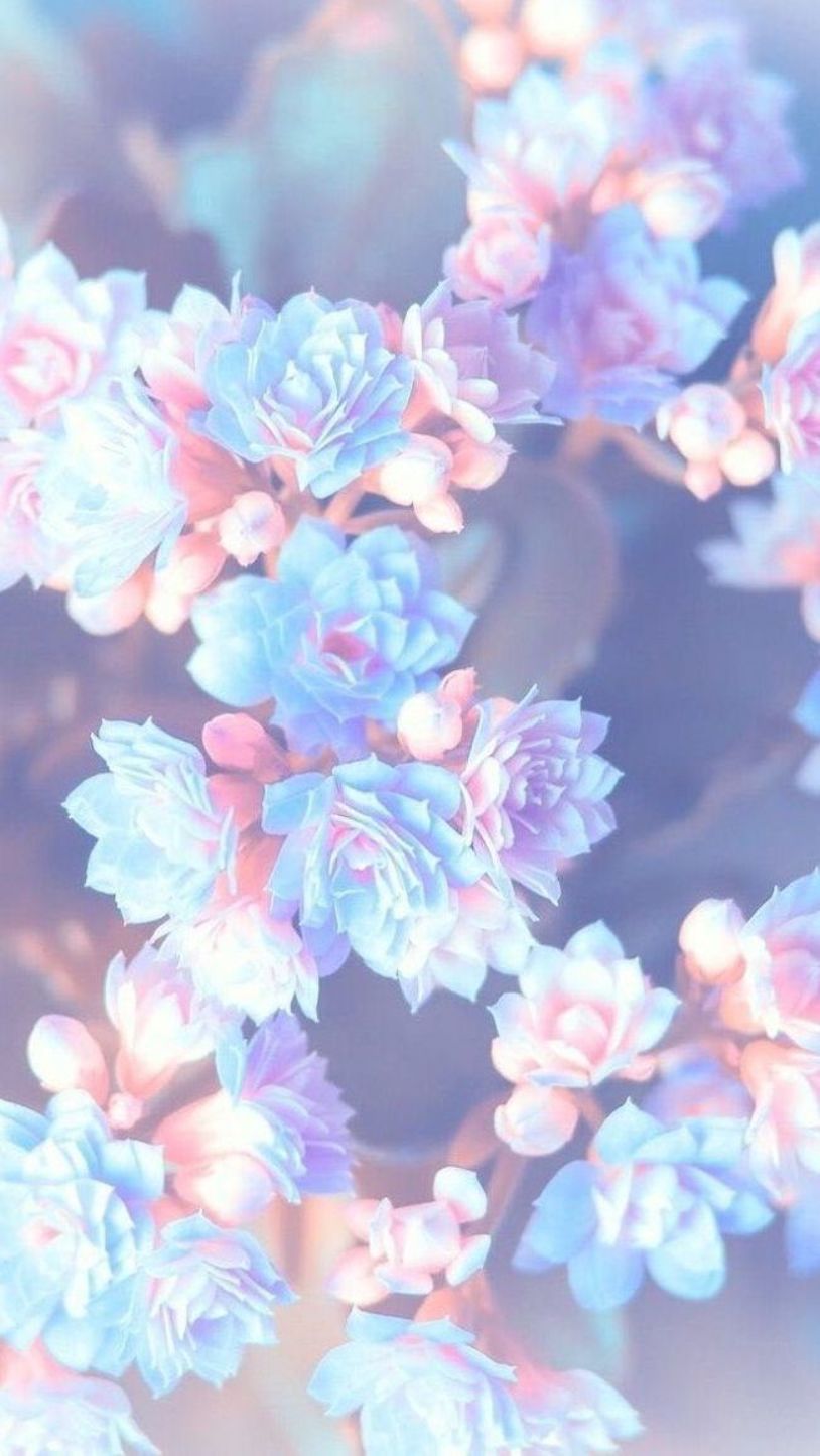 purple pink and blue flowers, blurred background, floral phone wallpaper, happy spring images #blueflowerwallpaper